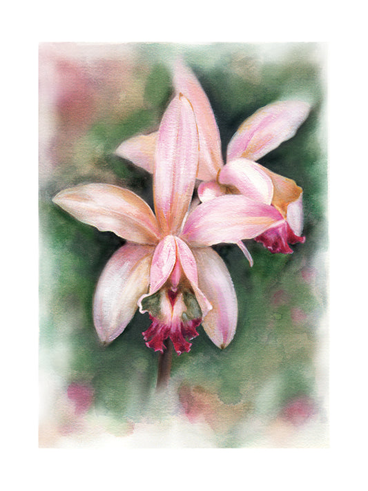 Flower 01 Canvas Prints