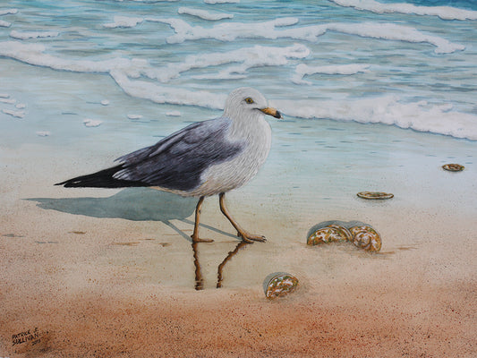 1 Seagull Canvas Art