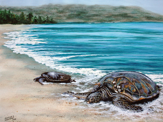 2 Turtles Canvas Art