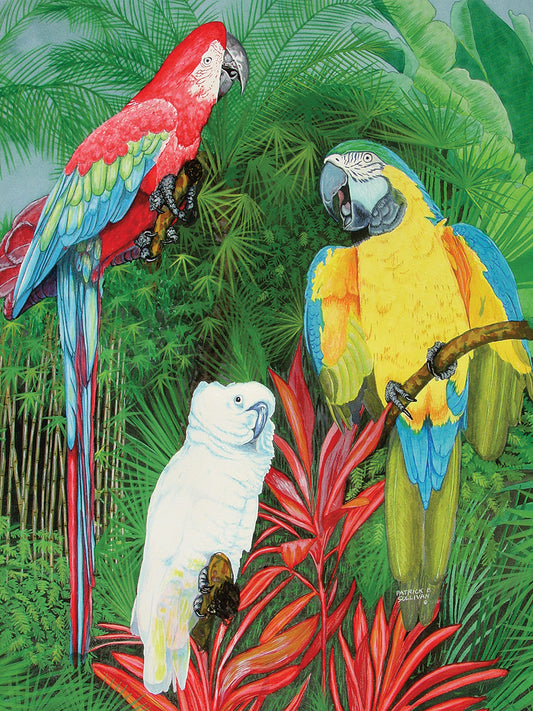 3 Parrots Canvas Art