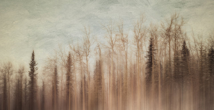 In Between The Seasons