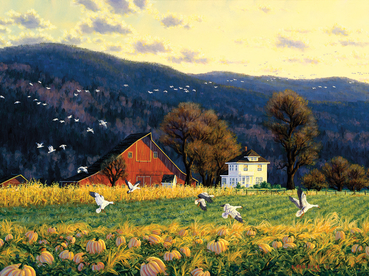 Return Of The Snowgeese