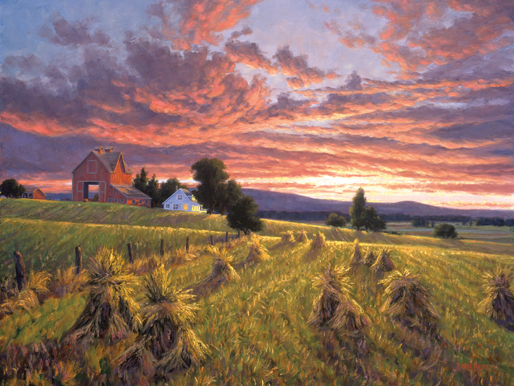 Harvest Sunset