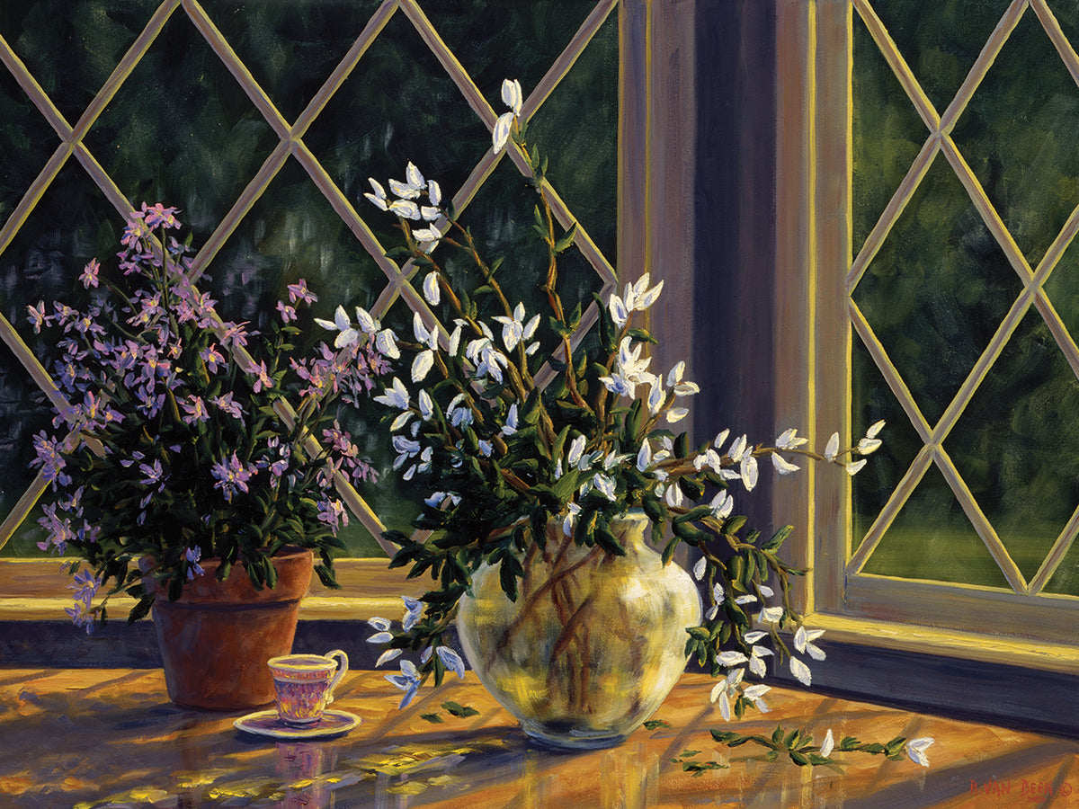 Asters And Orchids