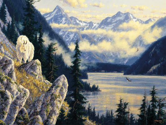 Northern Wilderness Canvas Art