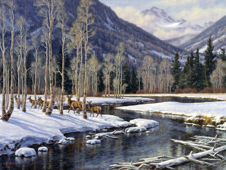 A lo largo del arte de la lona Blackfoot