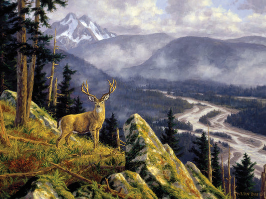 Above The South Fork Canvas Art