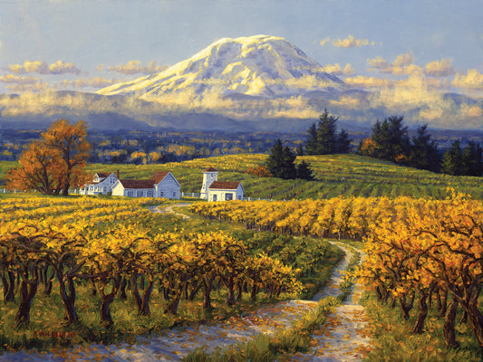 Autumn Vineyards Canvas Art