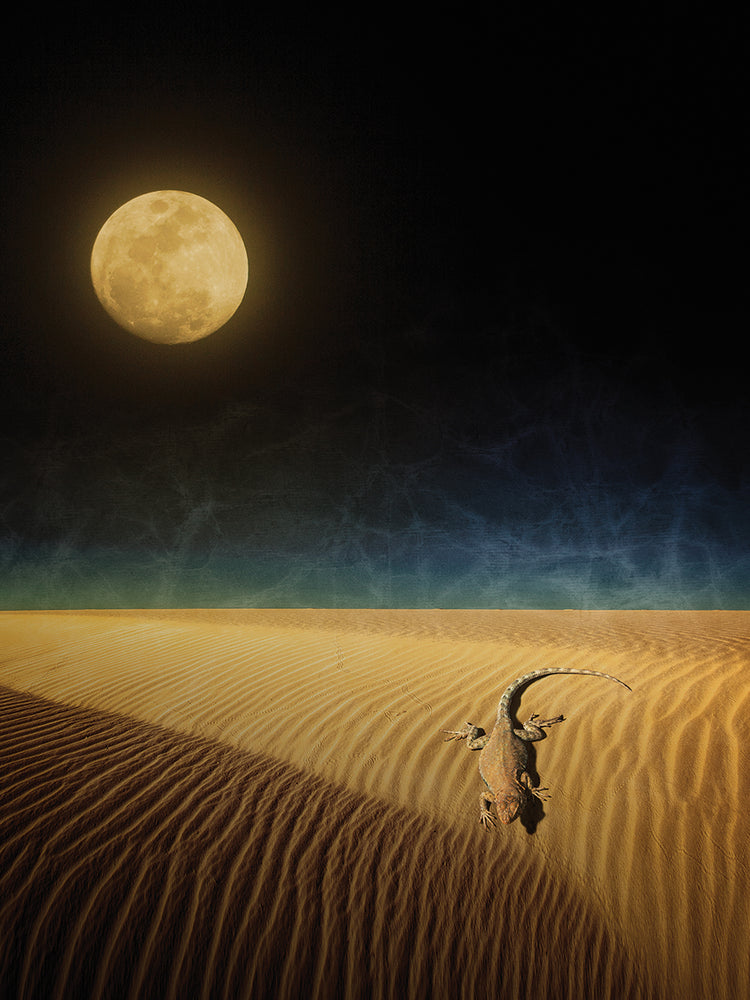 Lizard Moon
