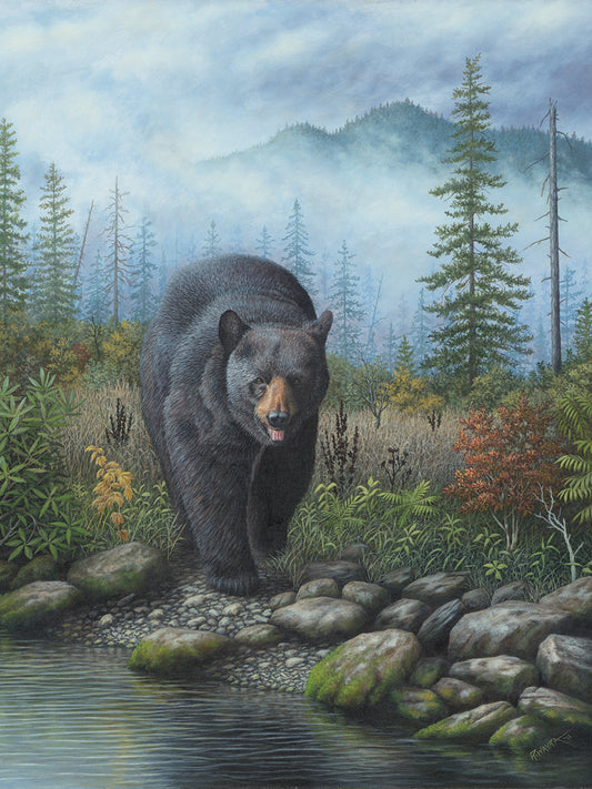 Smoky Mountain Black Bear Canvas Art