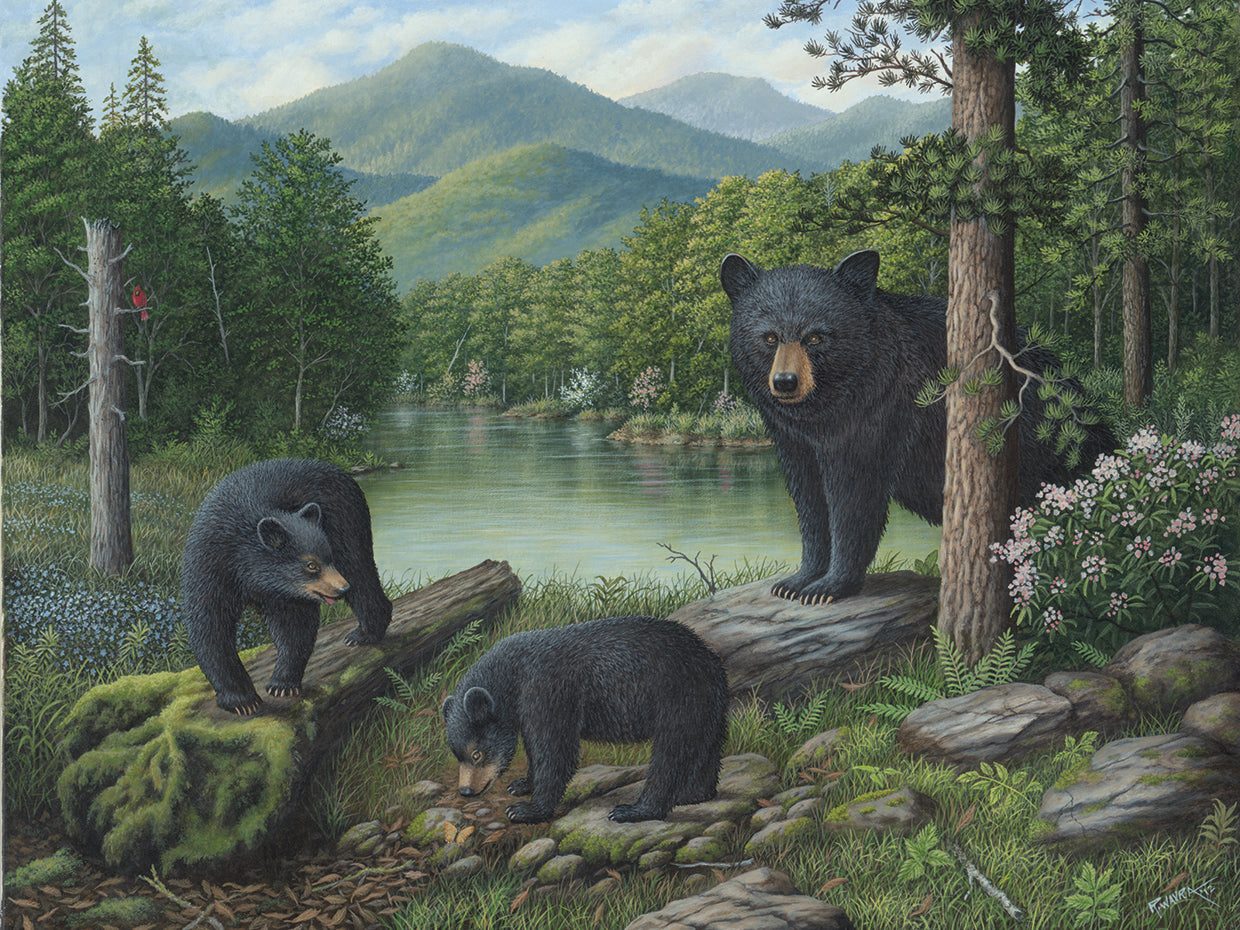 Watching The Cubs Play