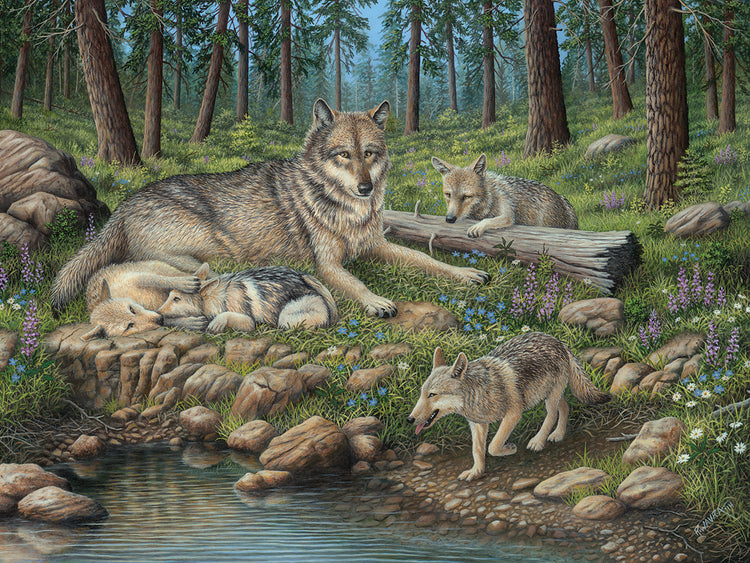 Grey Wolf Mother And Pups