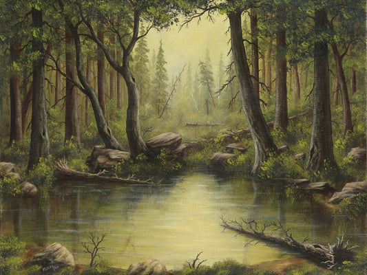 Evening at the Creek Canvas Art
