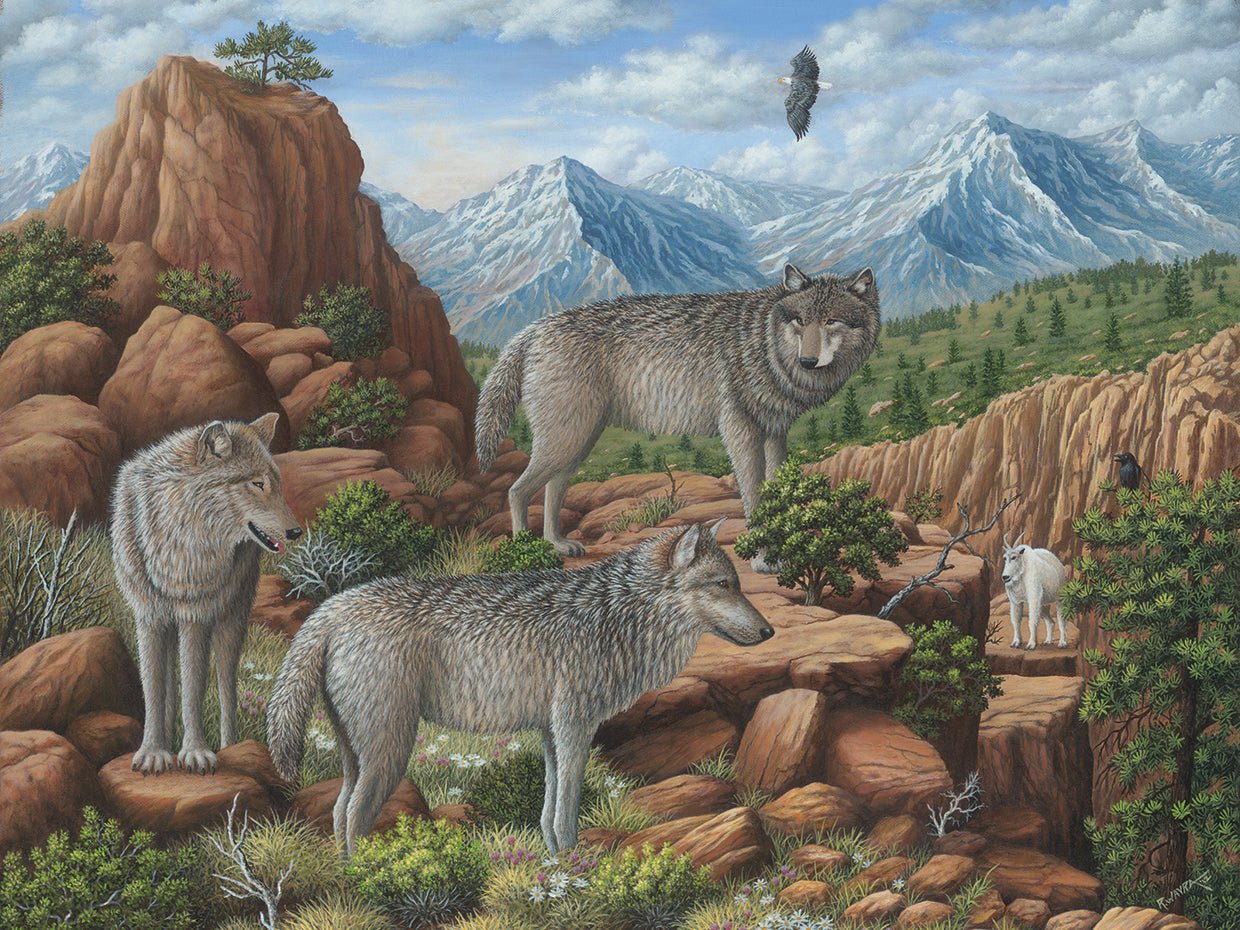 Scouting the Horizon - Grey Wolves