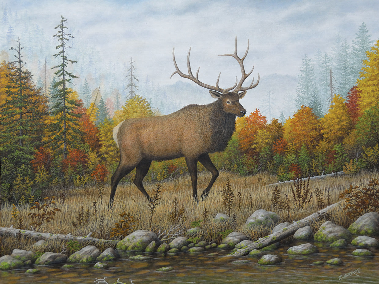 Autumn Elk