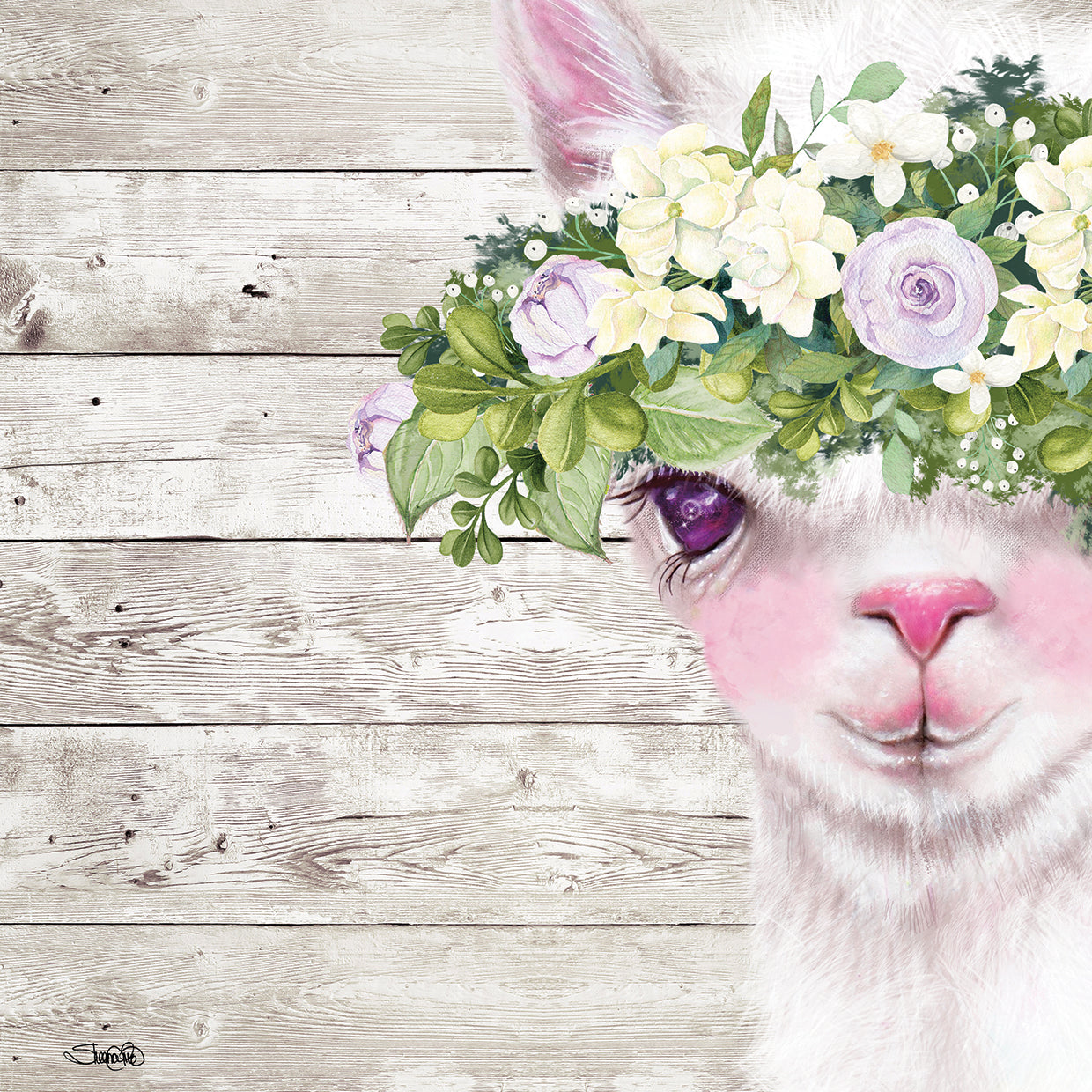 Peek a Boo Sweet Llama