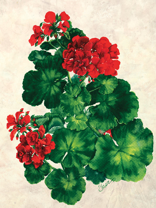 Red Geranium Canvas Art