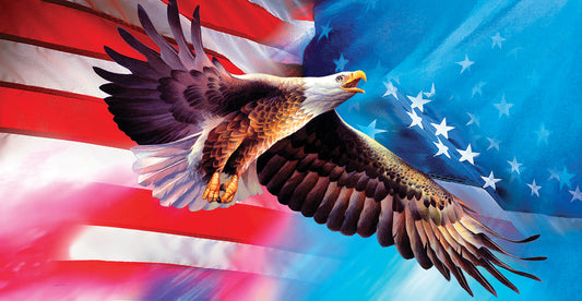 American Eagle Flag Canvas Art