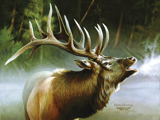 Elk In Mist Canvas Art