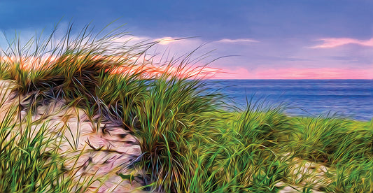 Cape-Dune Sunset Canvas Art
