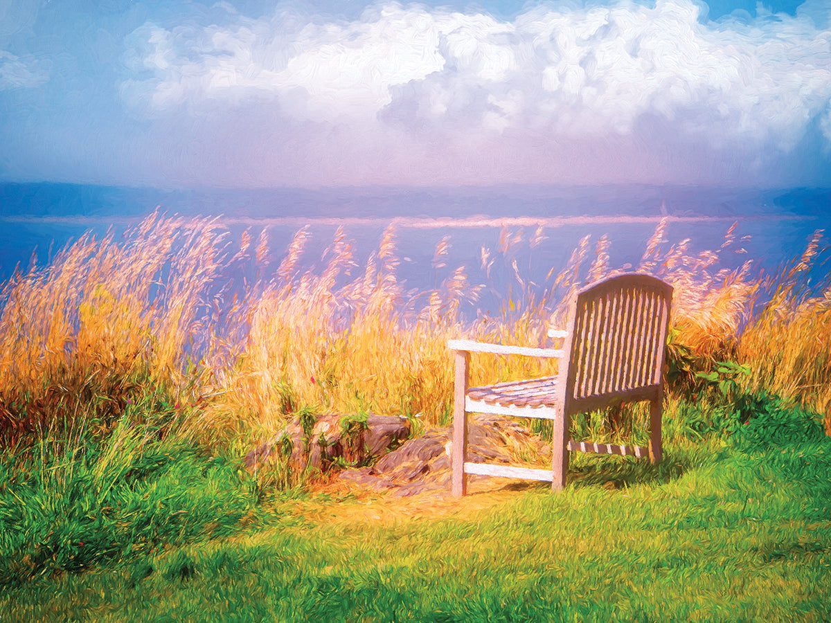 Seguin Island Bench