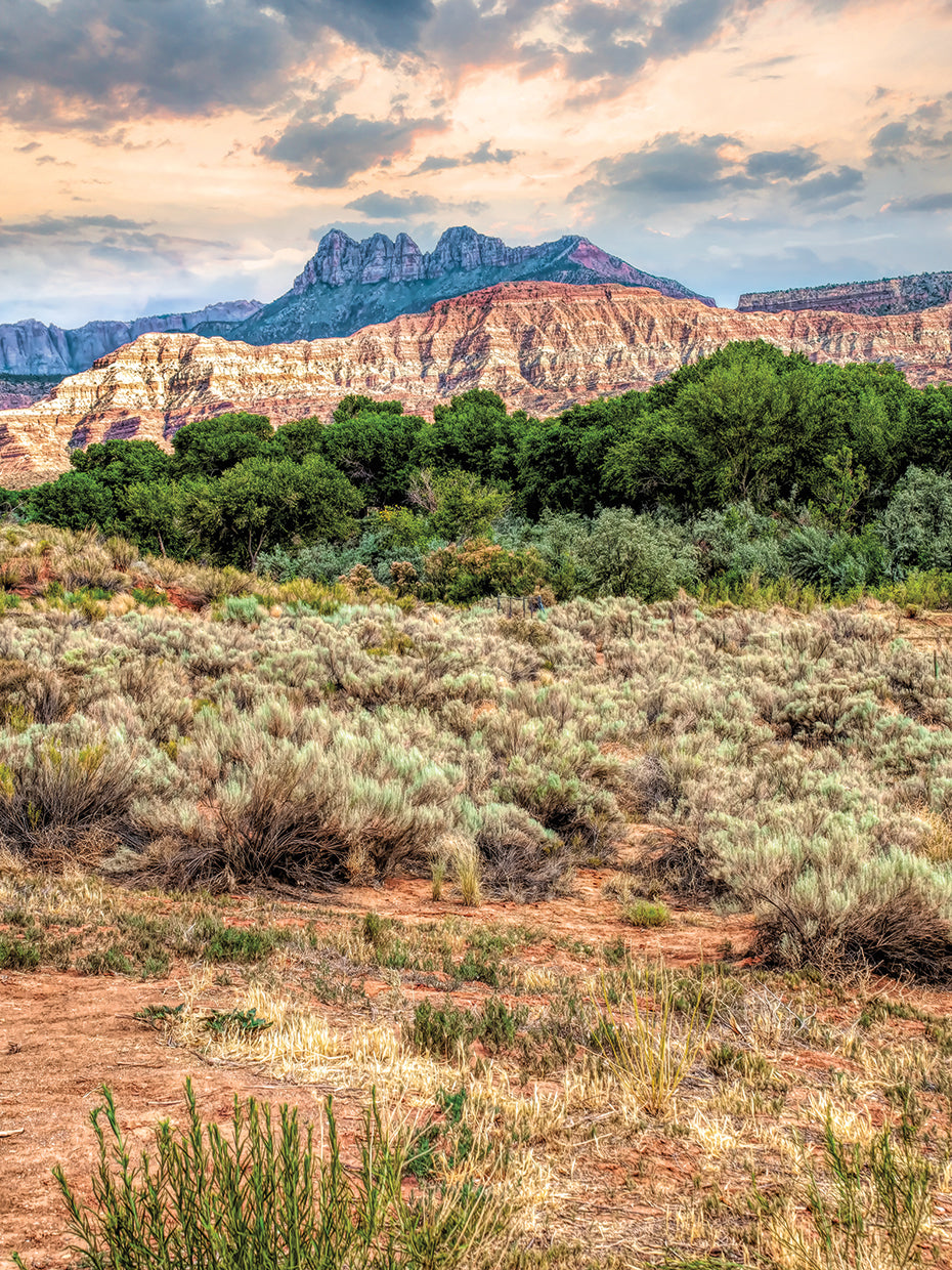 Utah Desert
