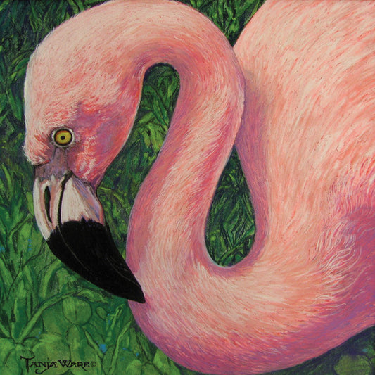 Flamboyant Flamingo Canvas Print
