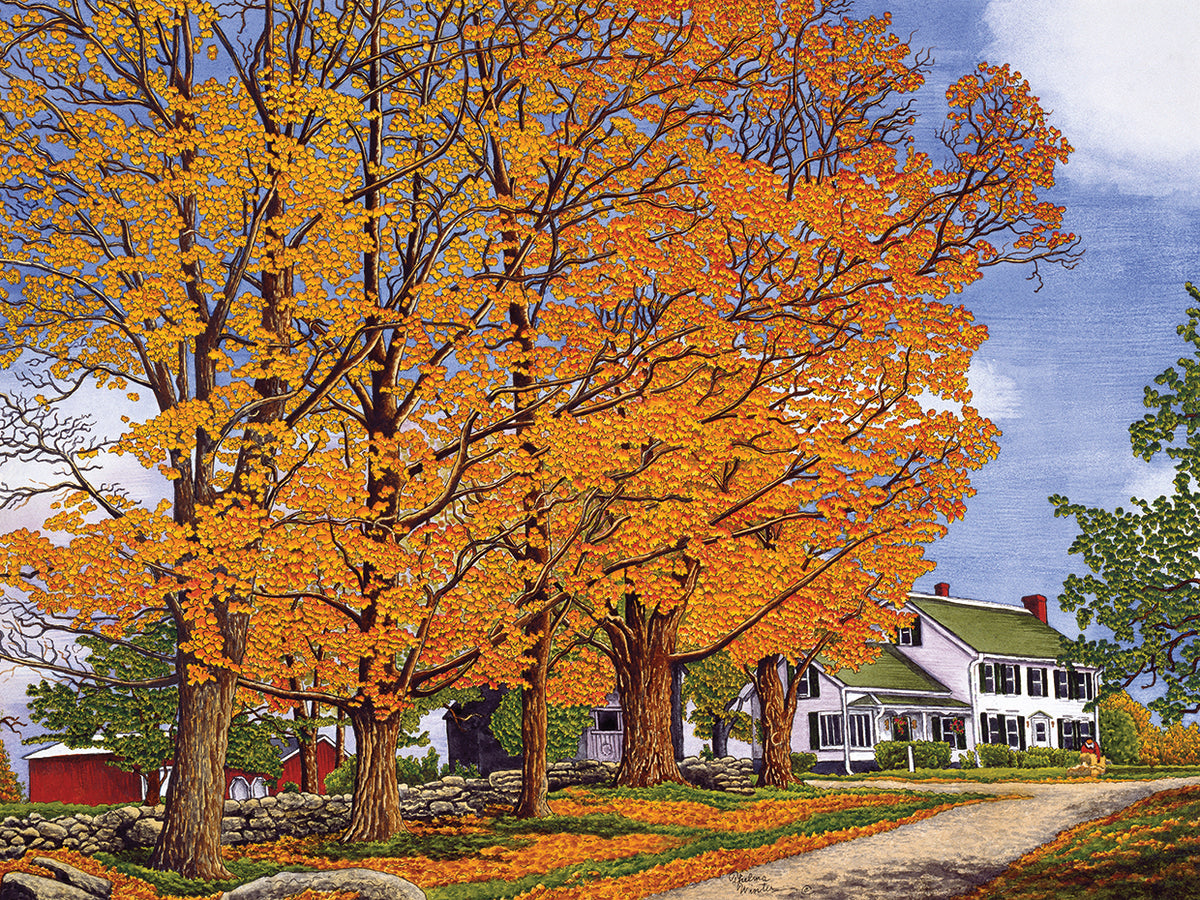 Autumn Splendor
