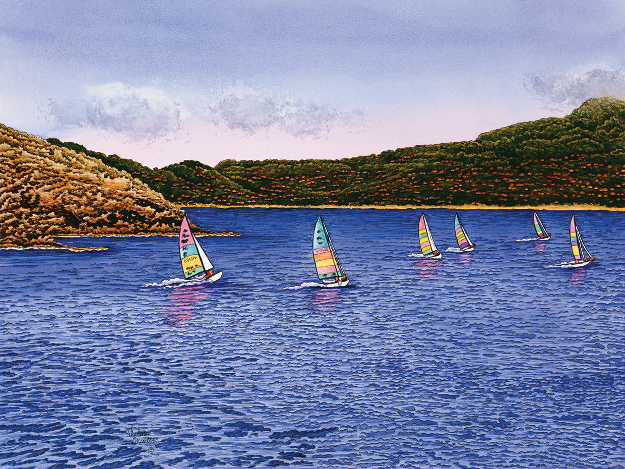Hobie Cats