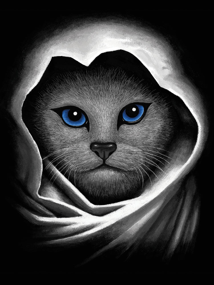 Blue Eyes Cat