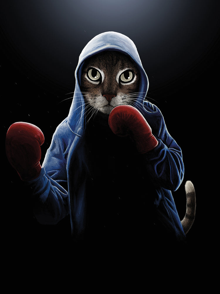 Boxing Cool Cat