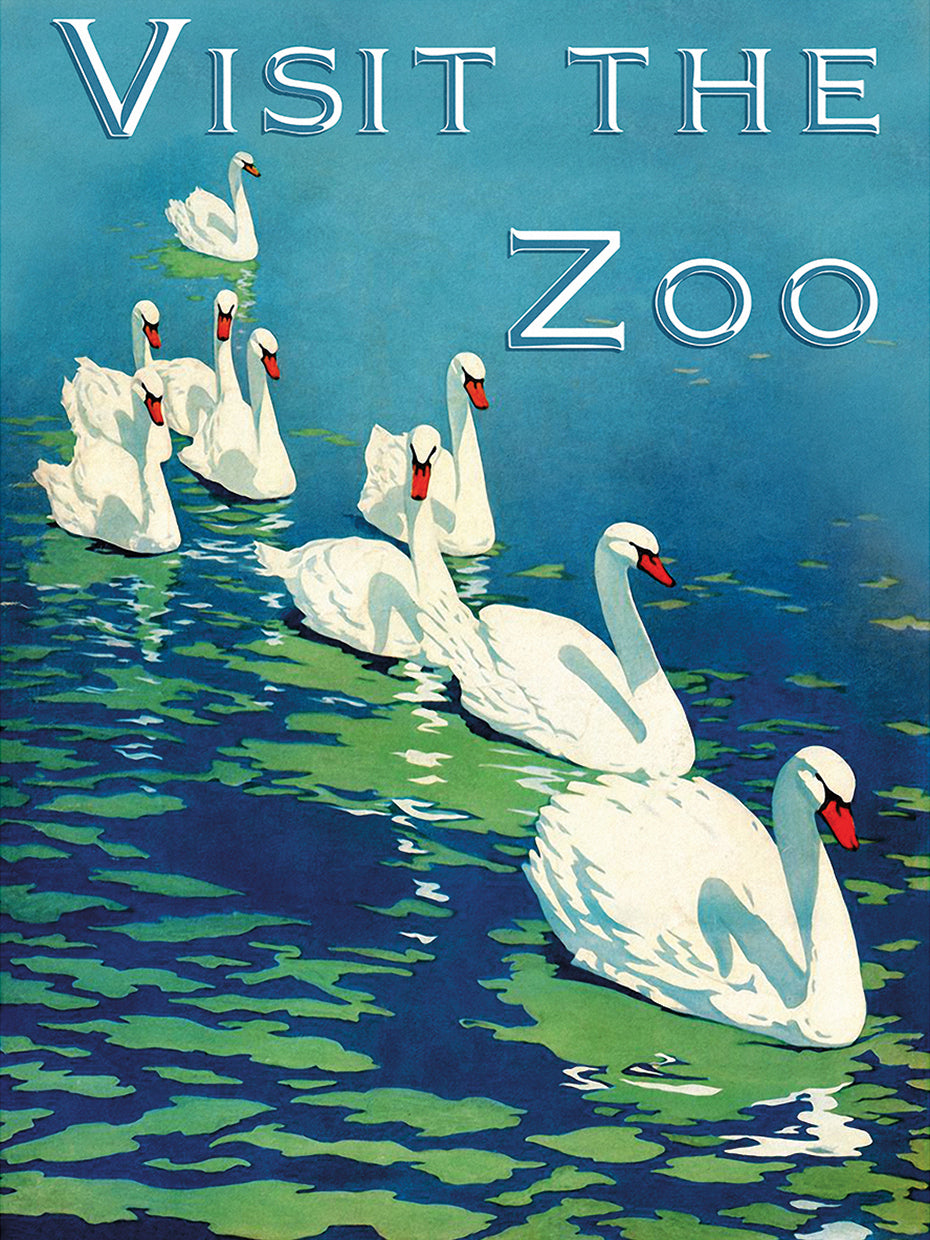 The Zoo 002