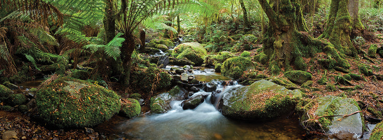 Arroyo de cemento Lienzo