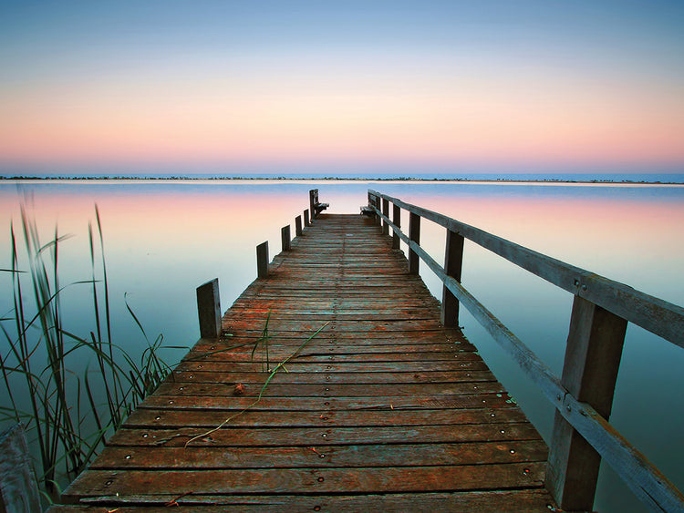 Canguro del lago Lienzo