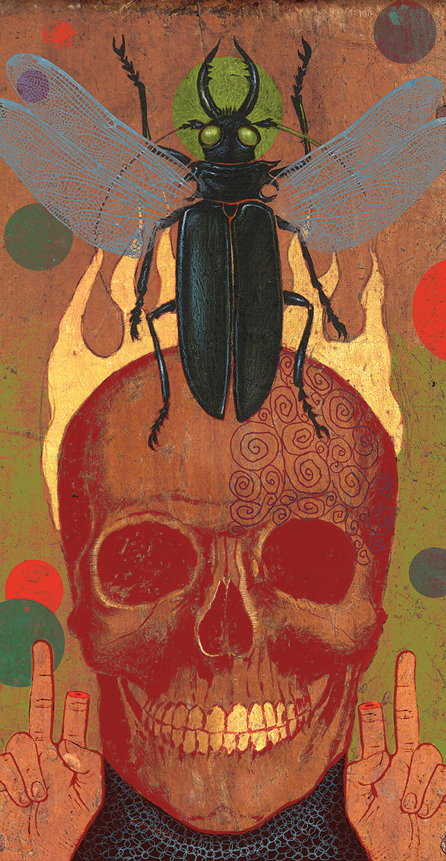 skull-anthony-freda