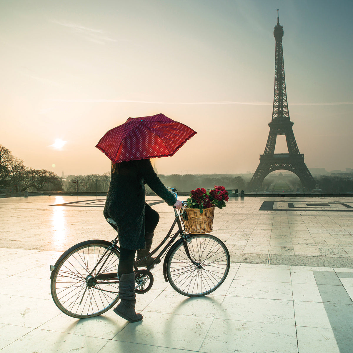 Paris # 3