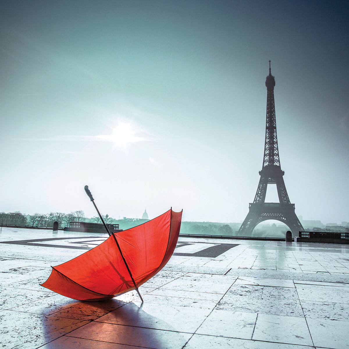 Paris # 5