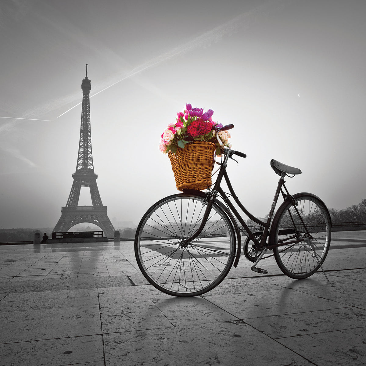 Paris # 7