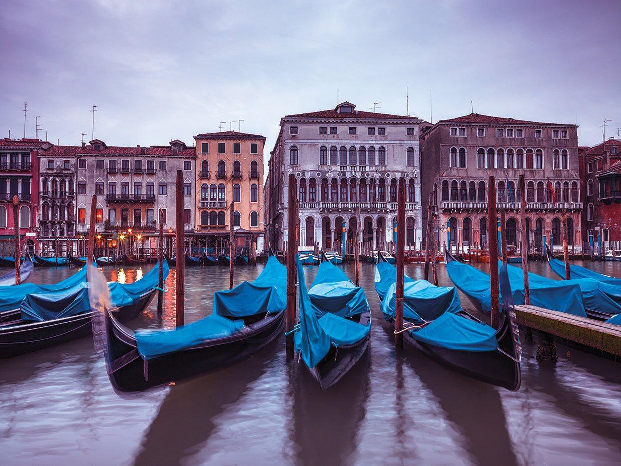 Venice 211