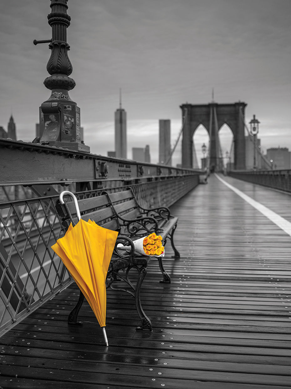 New York 297