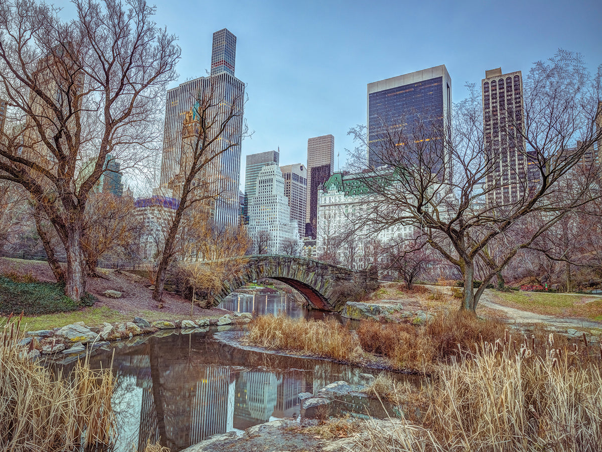 New York 452