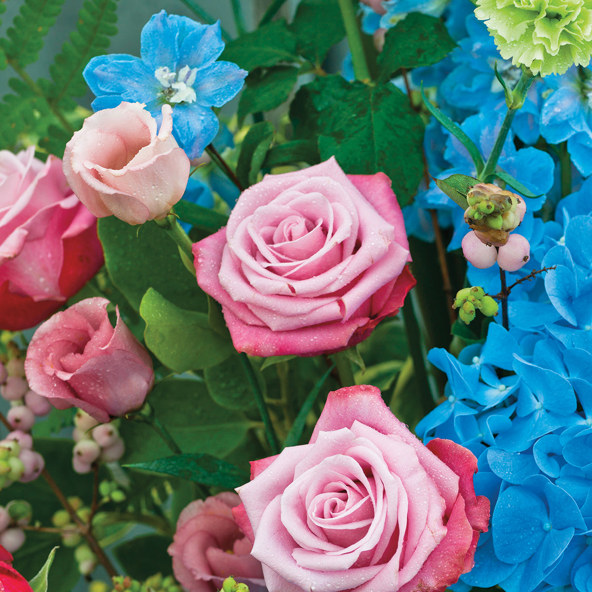 Flowers 466