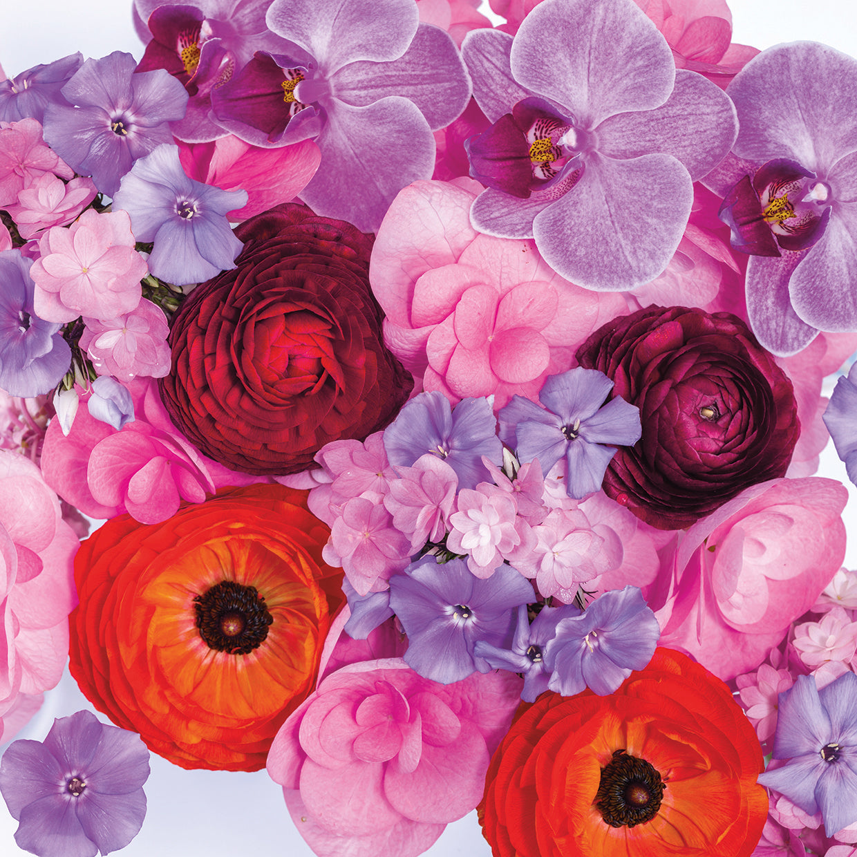 Mixed Flowers