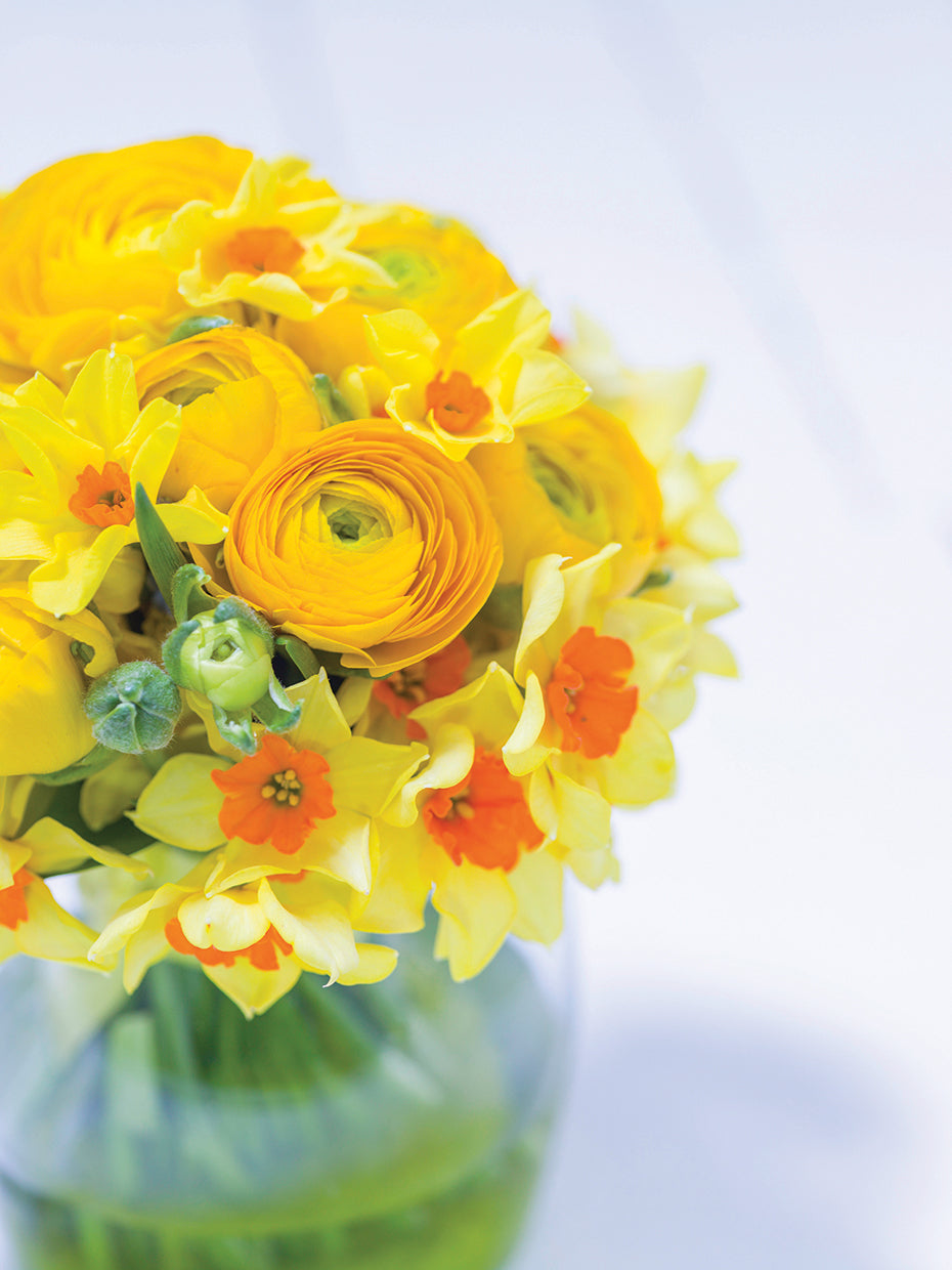 Flowers 153