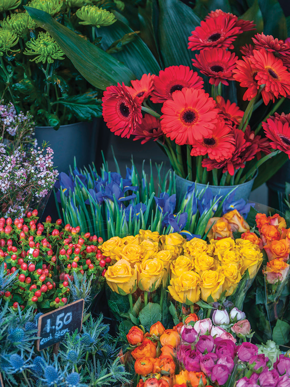 Flowers 012