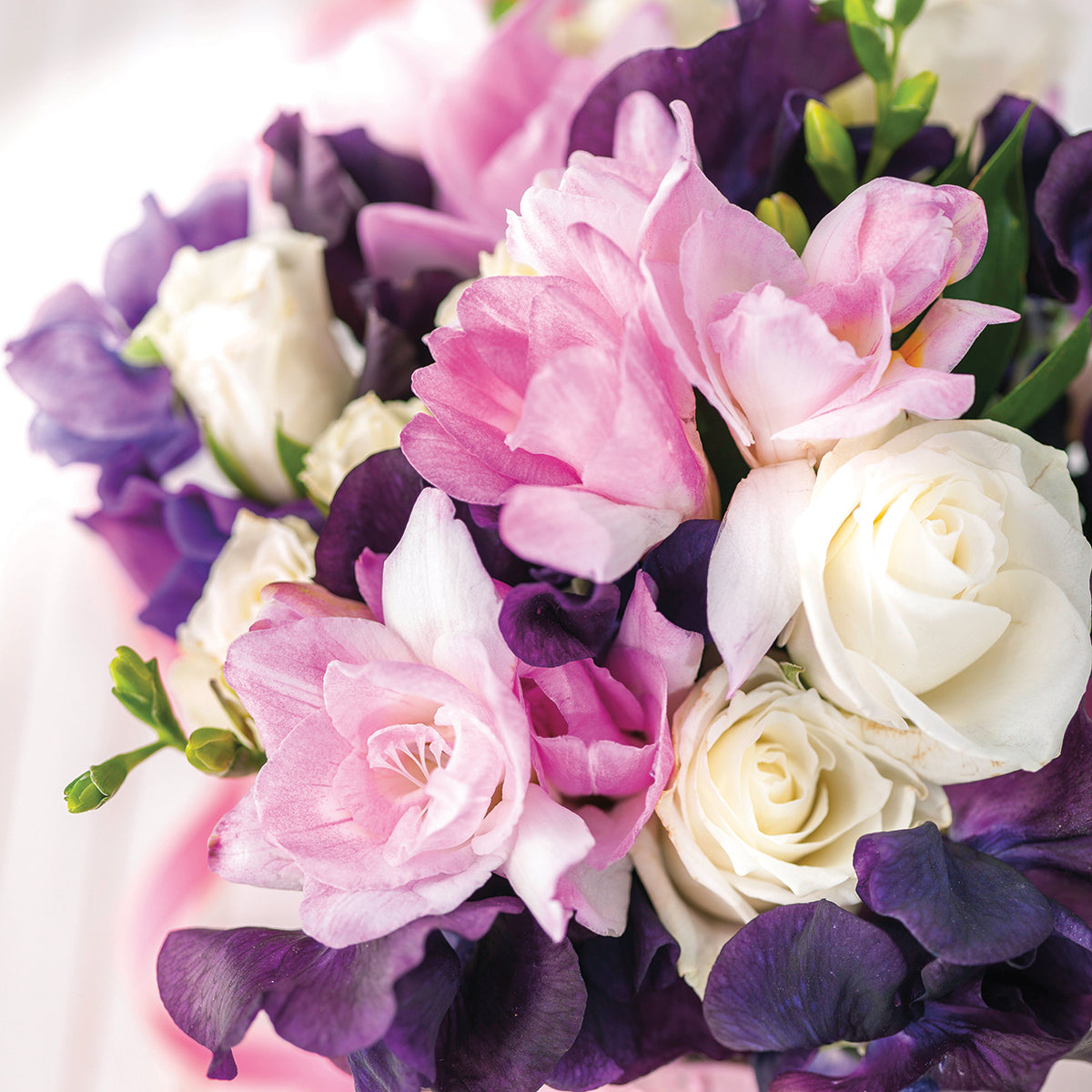 Flowers 024