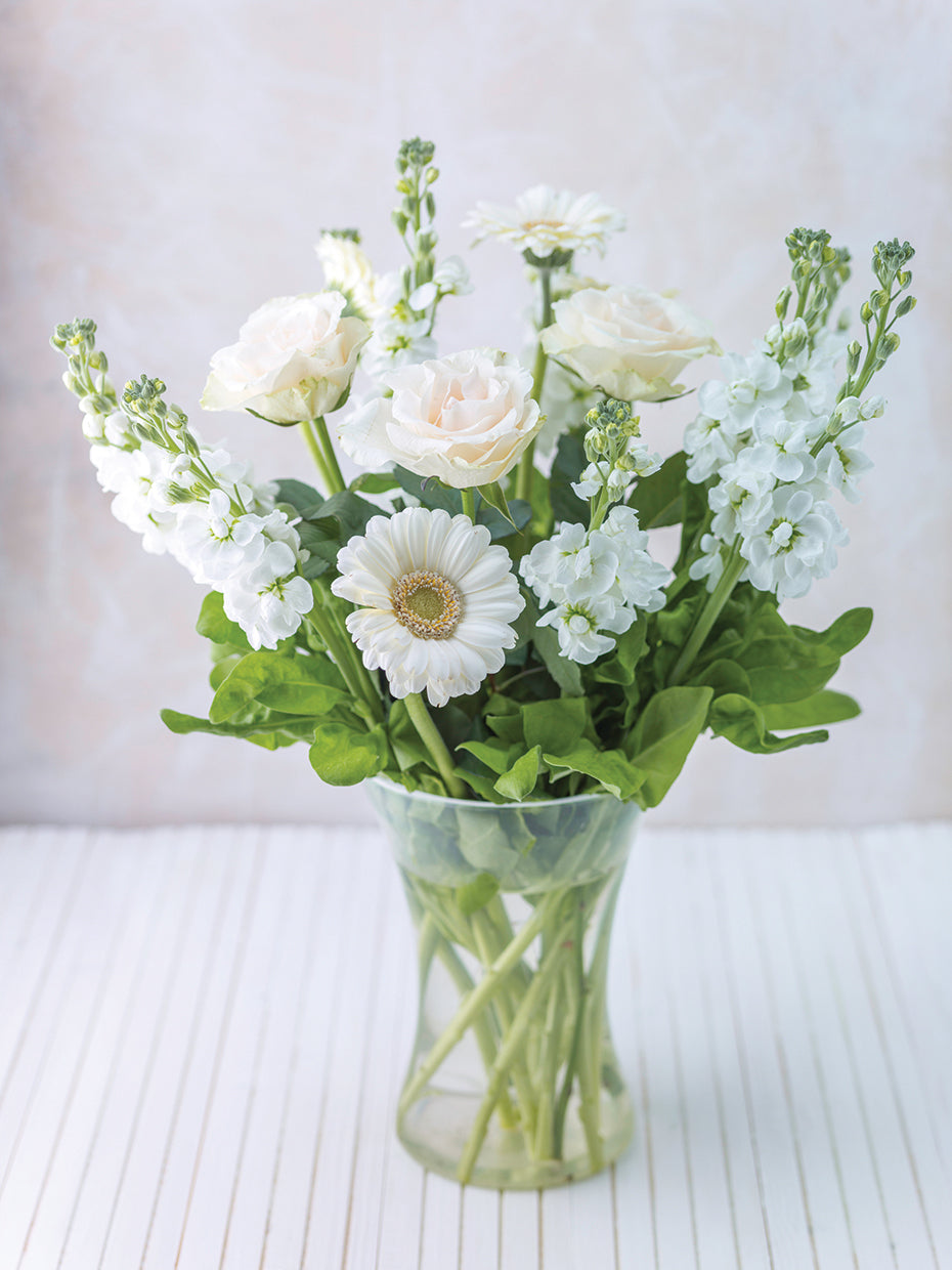 Roses 081