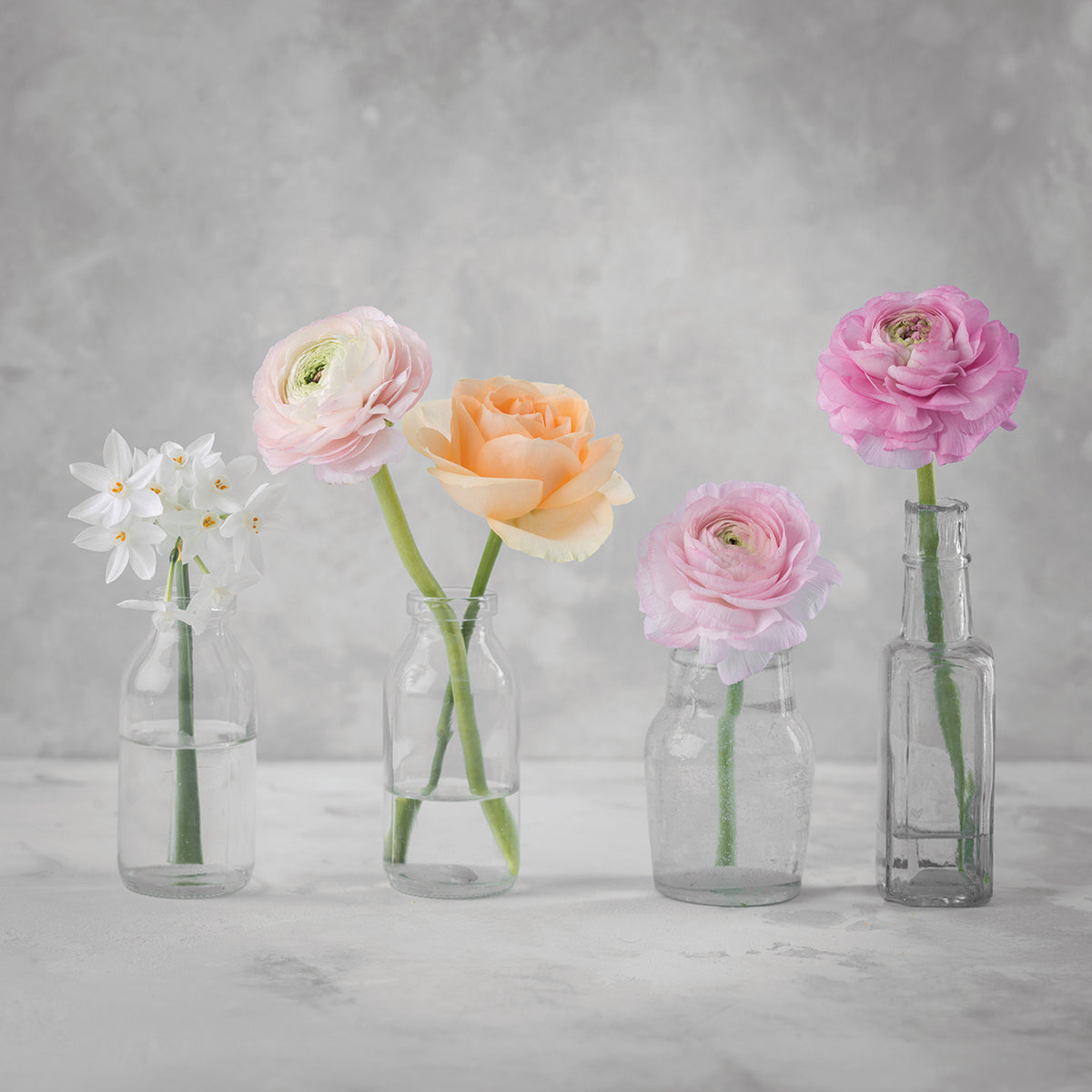 Flowers 030
