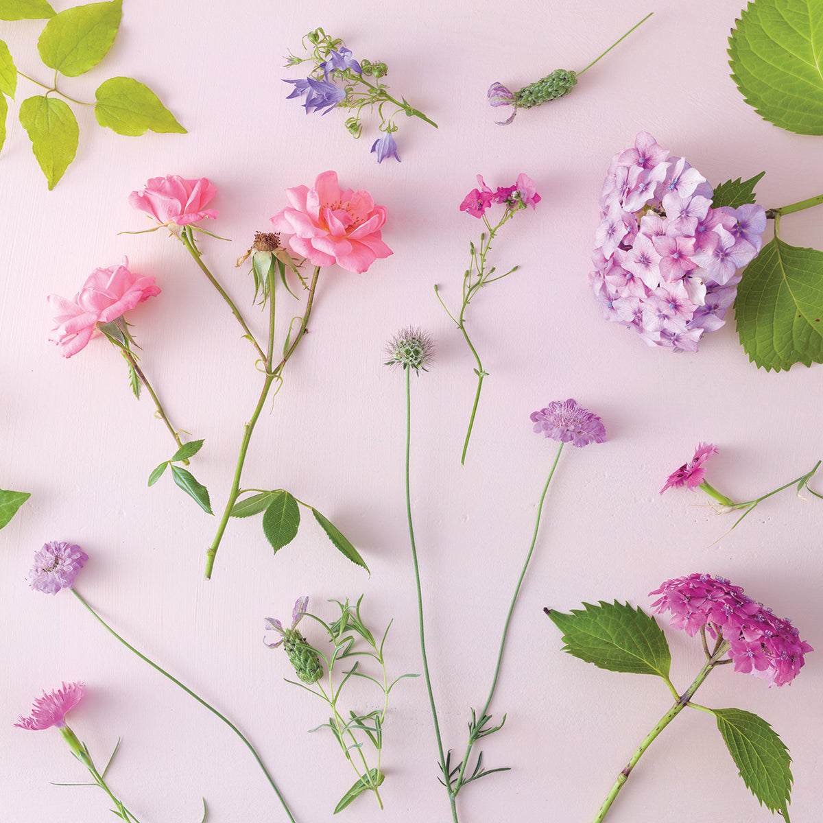 Flowers 029