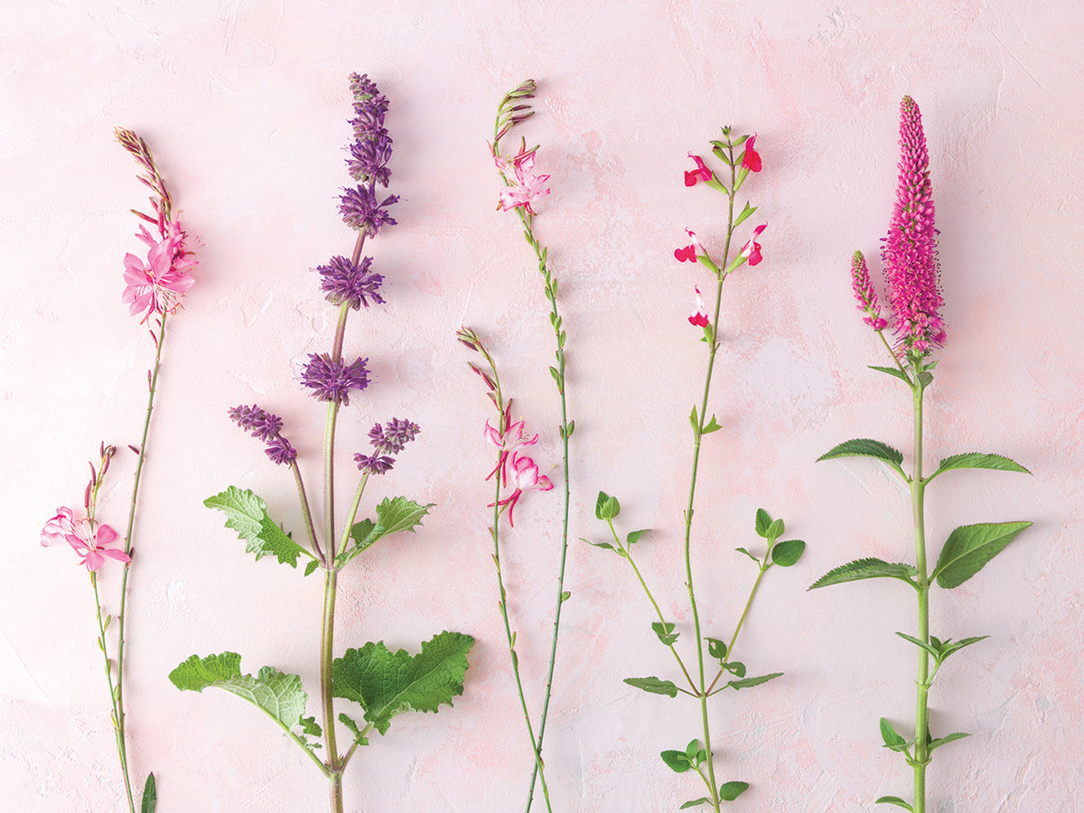 Flowers 129